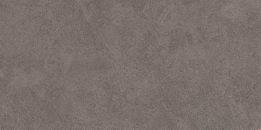 Gạch sân vườn PGM-02622