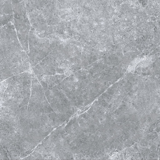 Gạch TBGRES TGB-02920